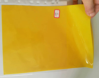 黄色PET原膜